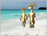 Bobtail's Honeymoon