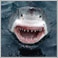 Bruce's Profile Pic