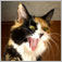 Carl's Profile Pic