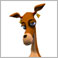 Doe's Profile Pic