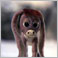 Nestor's Profile Pic