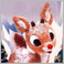 Rudy's Profile Pic