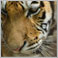 Sara's Profile Pic