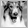 Lassie's picture