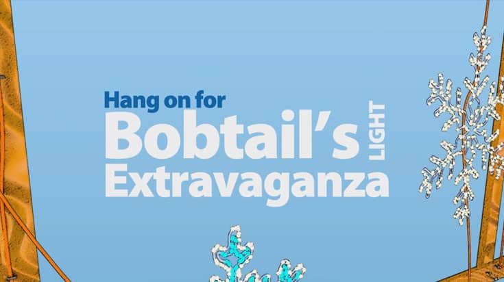 bobtails_light_extravaganza