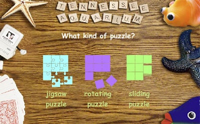 Tennessee Aquarium Puzzles
