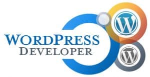Video Ideas WordPress Developer
